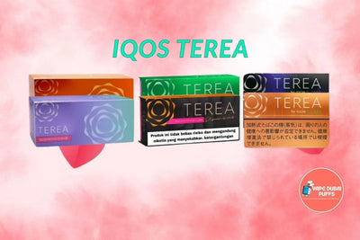 IQOS TEREA Buy Online – Everything You Need to Know